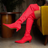 Sexy (Red Boots) High Knee Boots Blocks kitten Heels