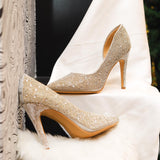 Star Studded (high heels pointy wedding silver shine )
